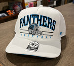 Carolina Panthers Roscoe Hitch Hat - 47 Brand
